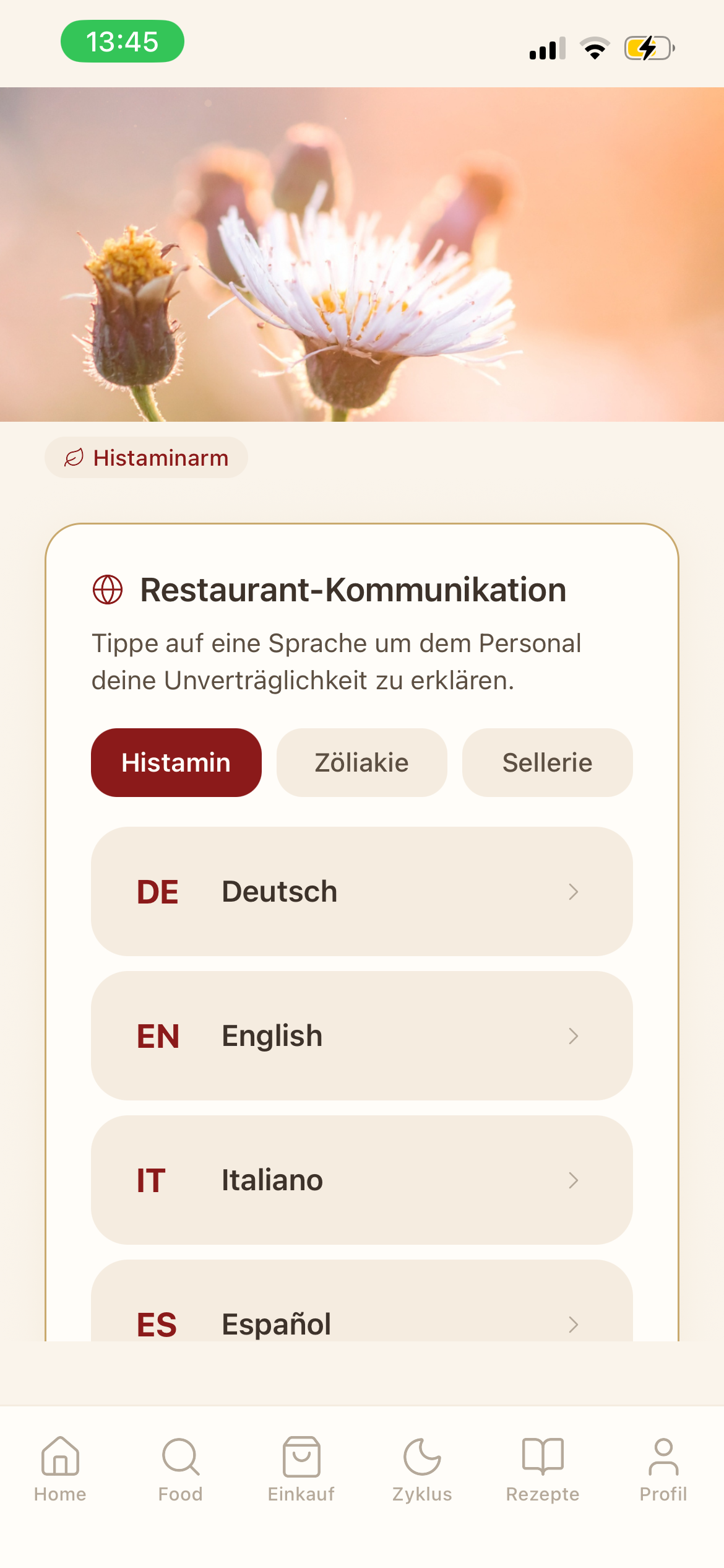 Reise-Übersicht