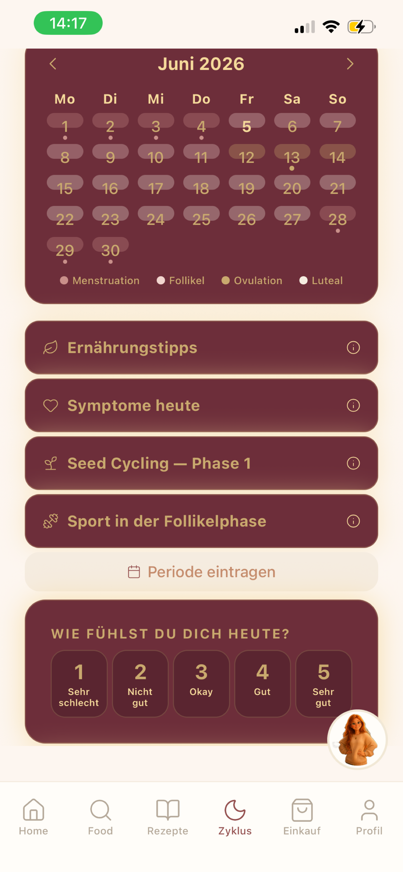 Zyklus-Kalender mit Seed Cycling und Symptomen